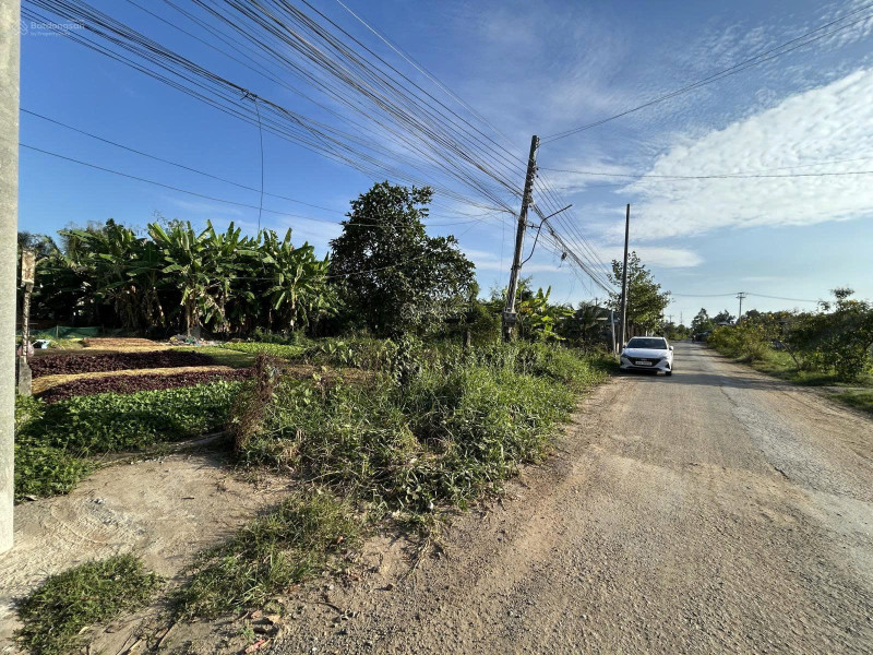 Mặt Tiền Đình Thần Xuân Sanh Thôn, Tân An - Giá đẹp đất đẹp.