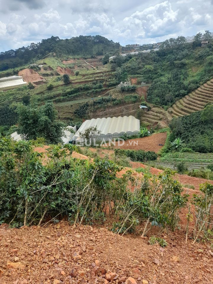 Bán  đất thổ cư 1500m² , giá 20 tỷ tại, Phường 8, Thành phố Đà Lạt, Lâm Đồng