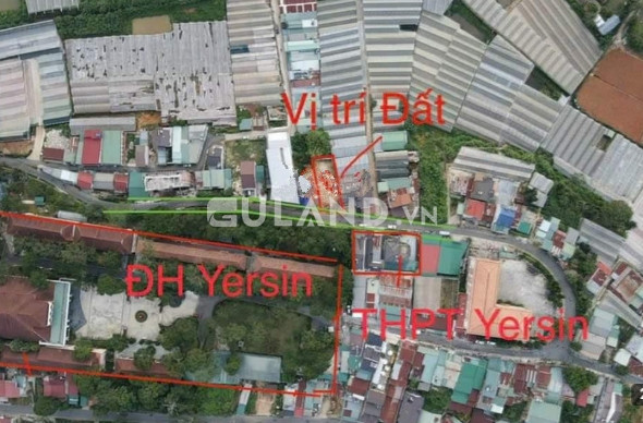 Bán gấp 536m2 đất đường Tôn Thất Tùng phường 8 Đà Lạt thích hợp làm khách sạn, biệt thự
