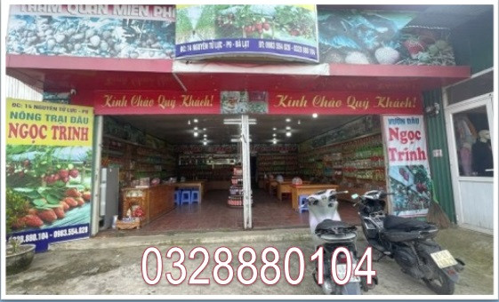 ⭐️Cần sang quán vị trí siêu đẹp để kinh doanh tại 14 Nguyên Tử Lực, (P.8) Lâm Viên - Đà Lạt, Lâm Đồng; 0328880104