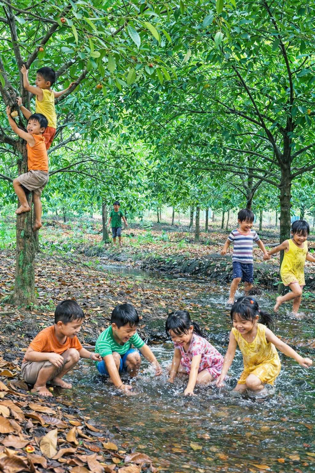 🐥🐥🐥BÁN 03 NỀN 6x46M FULL THỔ CƯ GIÁ 1.55 TỶ, PHƯỜNG AN BÌNH.