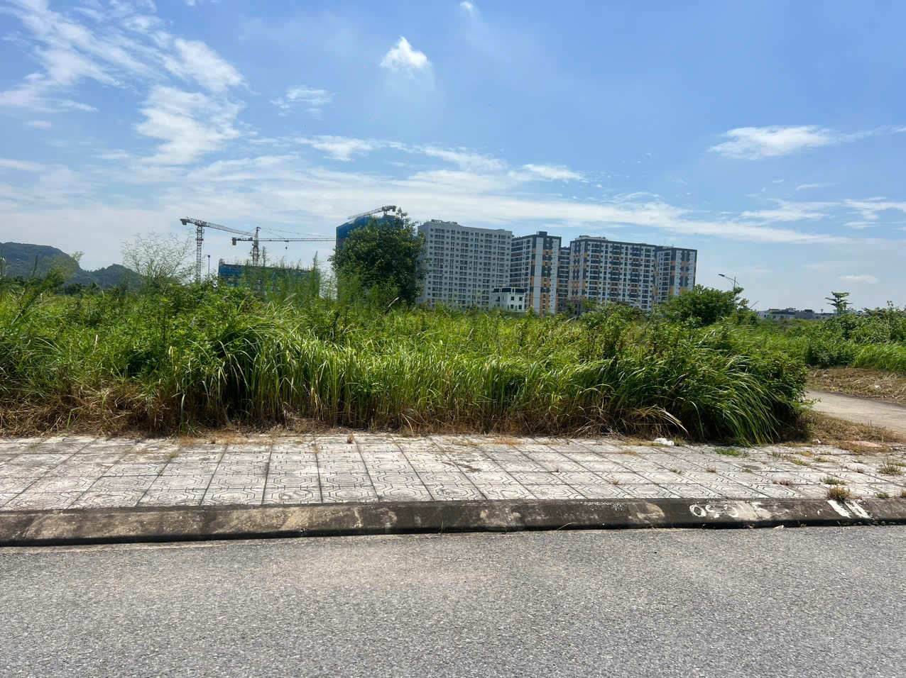 Bán đất 260m² lô BT33. ngang 12m giá 5.5 tỷ Phường An Dương(Lê Lợi). liên hệ 0362558882