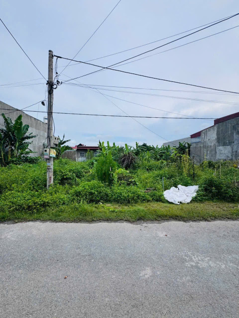Bán đất 116m² ngang 5,1m. đường nội bộ 4m . giá 2.43 tỷ Phường An Dương. liên hệ 0362558882