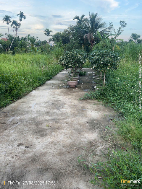 Bán đất 69.7m² ngang 4m giá 1.08 tỷ Phường An Hải