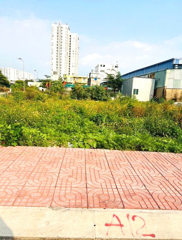 Đất Mặt Tiền Đường Nhựa 8m Có Lề,An Dương Vương,An Lạc,Khu Phân Lô,4x14,Nhỉnh 4 Tỷ(AL16)