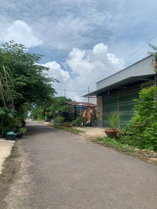 4 LÔ CẦN BÁN GẤP 20X50=1000M2 TC SHR NGAY CHỢ ĐƯỜNG 18M GIÁ 290TR/s