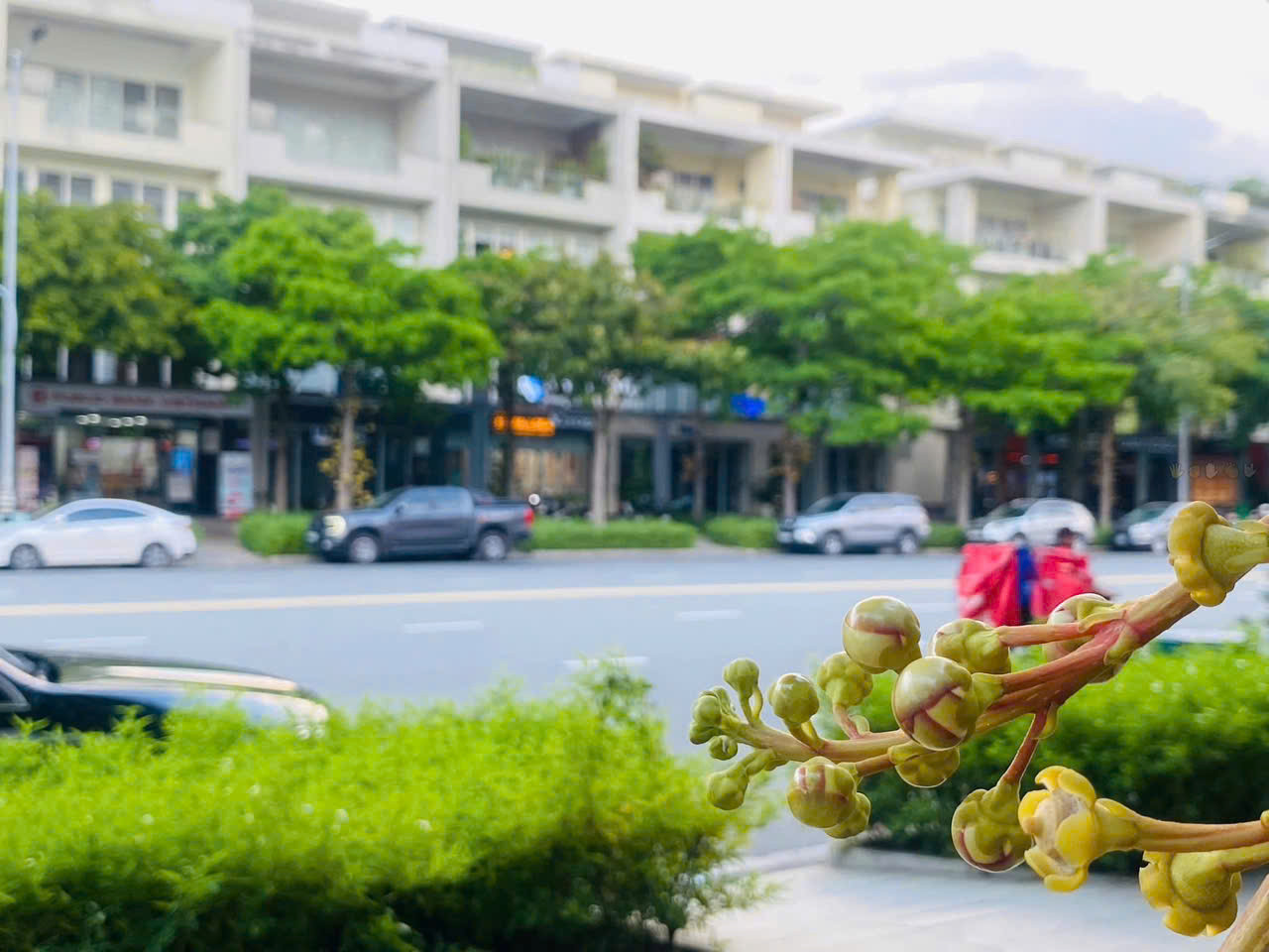 BDS  HVL 🏢 𝐌𝐎̣̂𝐓 𝐒𝐎̂́ 𝐌𝐀̣̆𝐓 𝐁𝐀̆̀𝐍𝐆 𝐍𝐎̂̉𝐈 𝐁𝐀̣̂𝐓 (𝐂𝐚̣̂𝐩 𝐧𝐡𝐚̣̂𝐭 𝐧𝐠𝐚̀𝐲 𝟎𝟐/𝟎𝟔/𝟐𝟎𝟐𝟓):