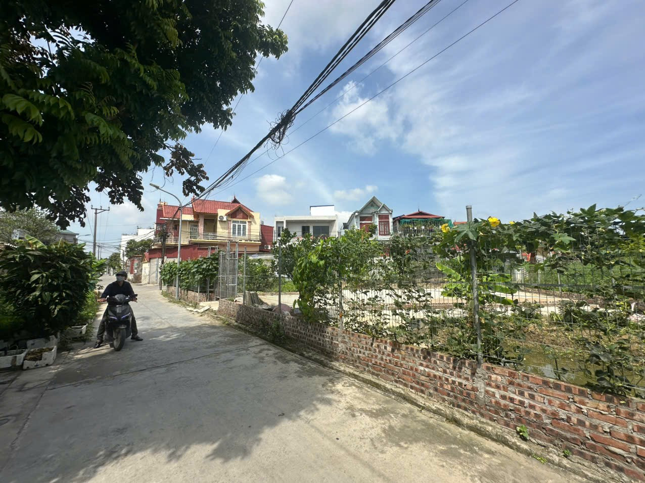 Bán đất 76.1m² ngang 5,5m giá 1.39 tỷ Phường An Phong( Lê Thiện). đường thôn 4m. thông các ngả. liên hệ 0362558882