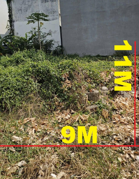 Bán đất Quốc lộ 1A An Phú Đông Quận 12, 9x11m thổ cư 100%, vị trí đẹp