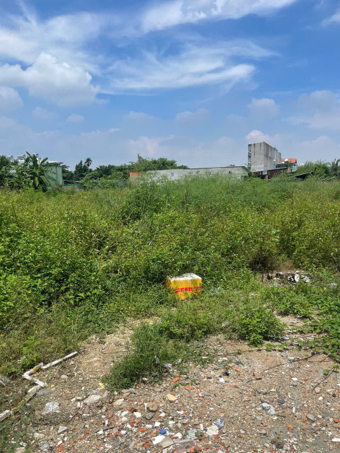 ĐẤT 3.395M² FULL THỔ – ĐƯỜNG VÕ THỊ LIỄU, AN PHÚ ĐÔNG, Q12 – 2 SỔ RIÊNG