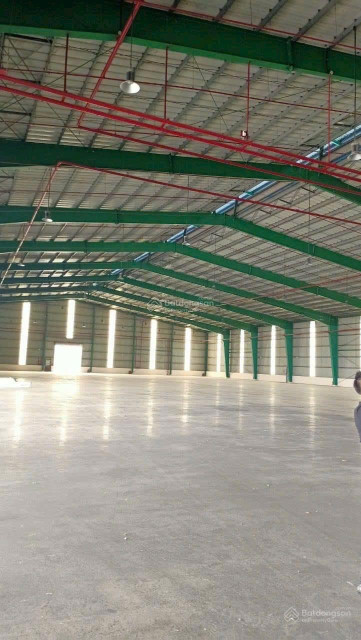 Cho thuê xưởng 5000m2 300tr Thuận An