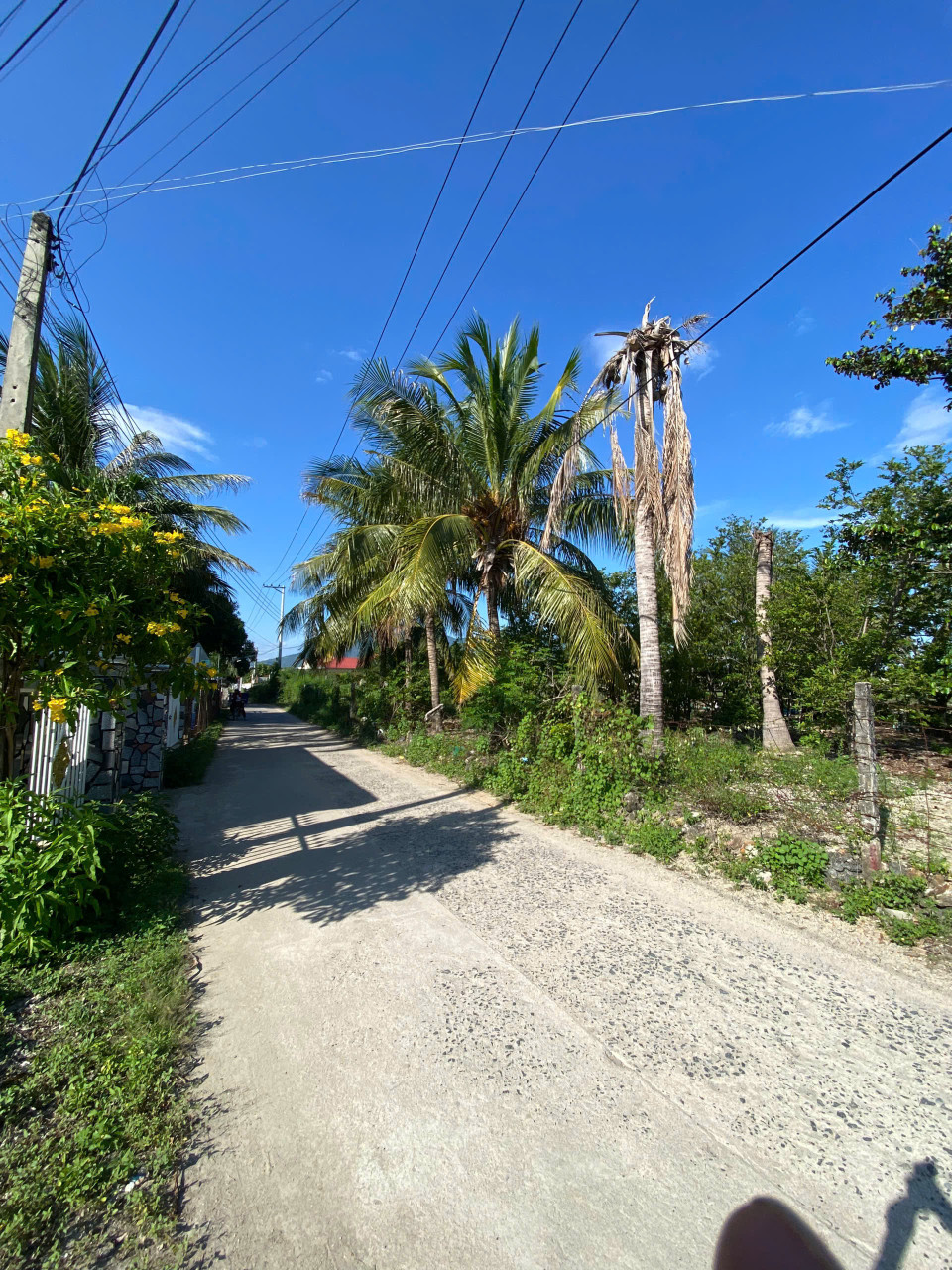 Trung tâm Cam Ranh, cách quốc lộ 80m, 287m2 có thổ cư đường ô tô rẻ nhất khu vực chỉ 200tr/mngang