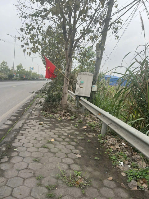 Bán đất 160m² ngang 6m . mặt đường đôi 26m. giá 1.7 tỷ Phường Bạch Đằng( Gia Minh). liên hệ 0362558882