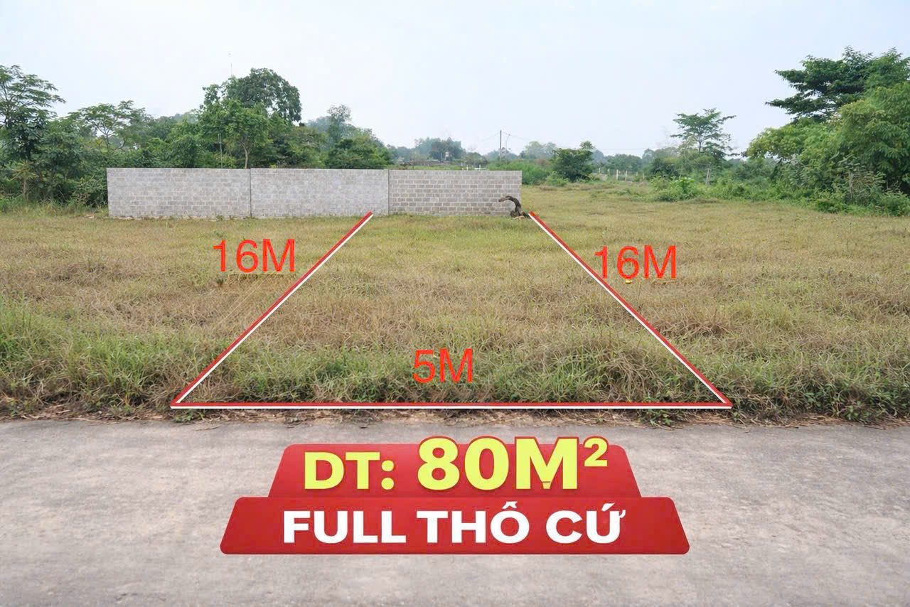 BÁN  ĐẤT GIÁ  RẺ   PHƯỜNG BÁCH QUANG (Lương Sơn cũ) – TP Sông Công