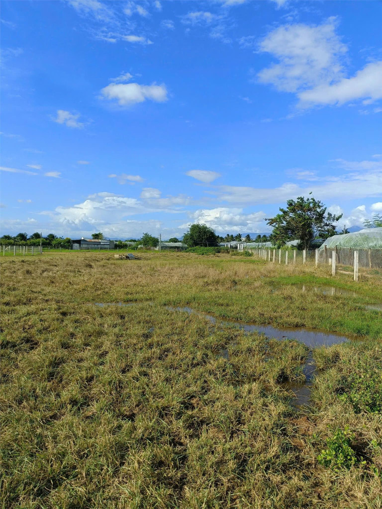 CHÍNH CHỦ CẦN BÁN LÔ ĐẤT SIÊU TIỀM NĂNG TẠI Phường Bảo An , Tp  Phan Rang - Tháp Chàm