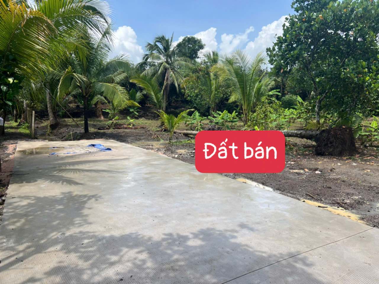 Bán đất 1102.1m² ngang 46m giá 1.5 tỷ Phường Bảo Vinh