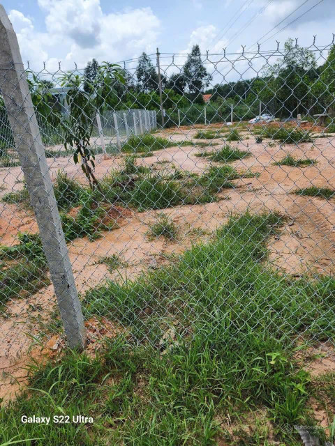 Đất thổ cư 300m2 Bến Cát, sổ riêng, chỉ 900 triệu gần KCN, dân cư đông