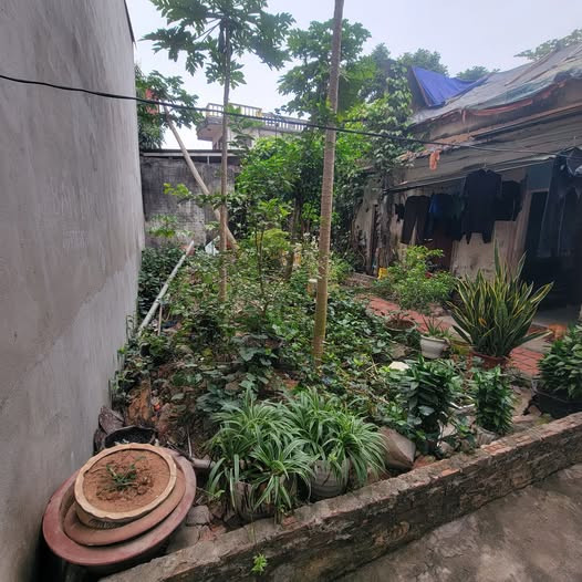 Bán đất 44m² tại Biên Giang – Hà Đông, giá 2,35 tỷ