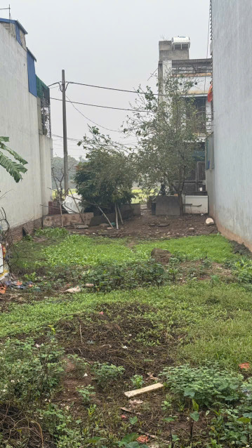 🔥 Bán gấp đất đẹp Phúc Tiến - Hà Đông, DT 39.6m², mặt tiền 4.3m, giá chỉ 3.98 tỷ 🔥