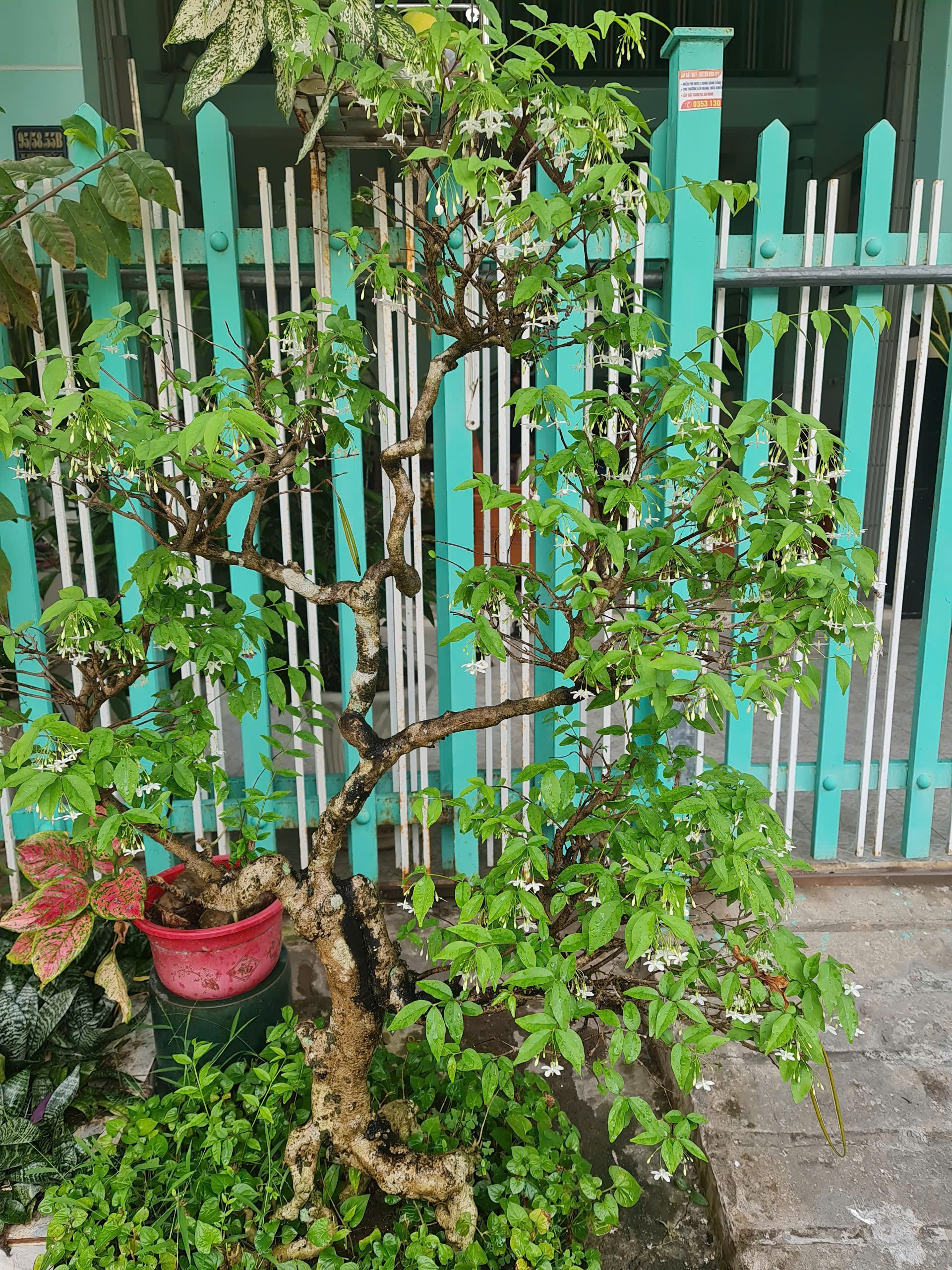 Bán nhà ở C 4, hẻm Ấp Chiến Lược (đường vào quán thỏ đế) khu dân cư tỉnh đội cũ, Khóm Bình Đức 1, Bình Đức, An Giang
