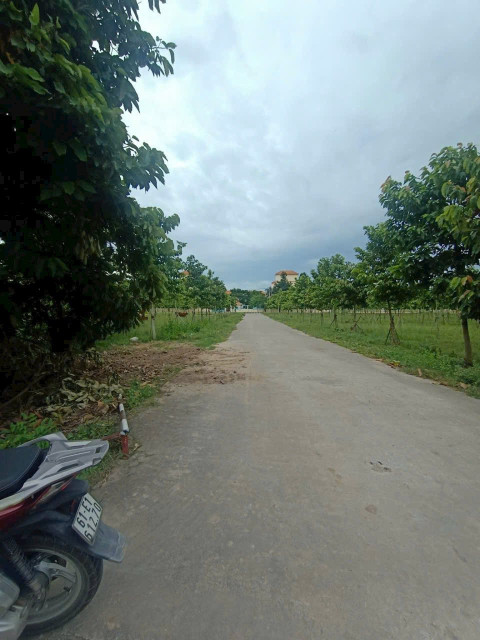Bán đất PHÚ MỸ  268m² ngang 19,5m giá 3.1 tỷ Phường Bình Dương 0815422197