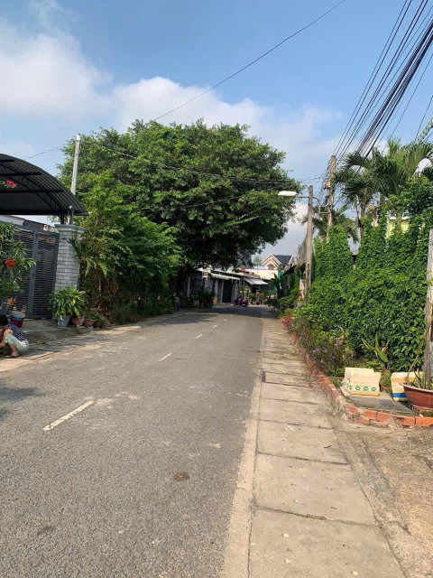 Bán đất 100m² ngang 5m giá 3 tỷ Phường Bình Dương 0815422197
