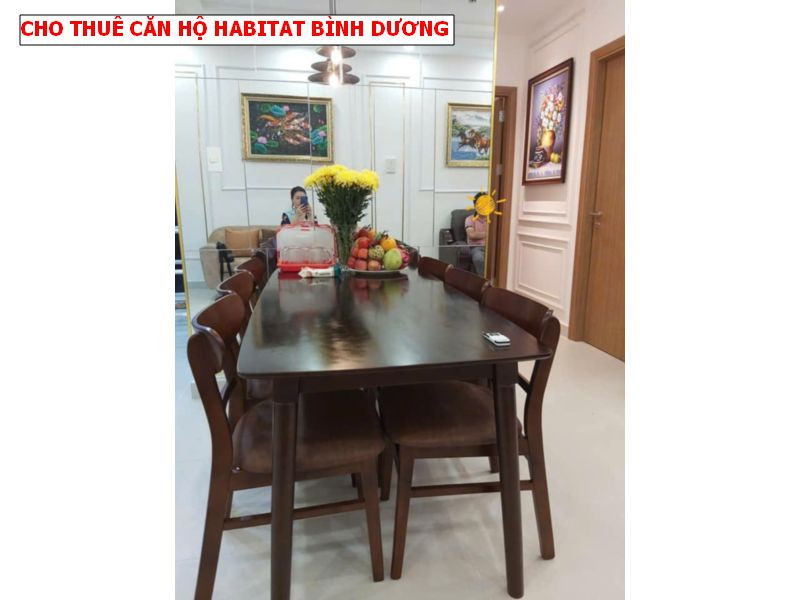 Cho thuê căn hộ The Habitat Bình Dương, nội thất đẹp 2pn giá 9tr