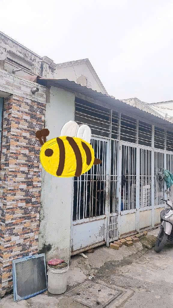 Bán nhà cấp 4 đường số 10  6×17m Phường Bình Hưng Hoà B Quận Bình Tân