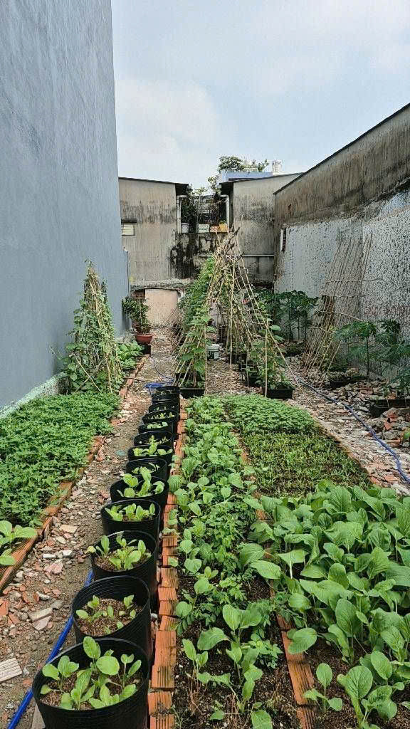 Bán 100m2 (5mx20m) Đất Thổ Cư Ngay Lê Trọng Tấn Gần Aeon Tân Phú - HXH Thông - SHR Nhỉnh 7 Tỷ TL Mạnh