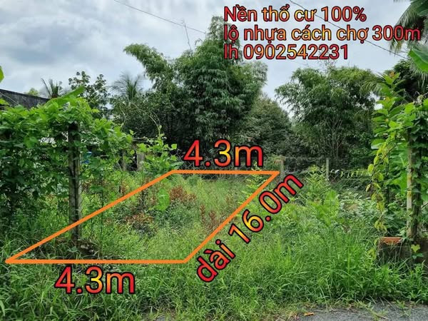 13. 📢 BÁN NỀN THỔ CƯ ĐẸP – CÁCH CHỢ RẠCH MÚC CHỈ 300M