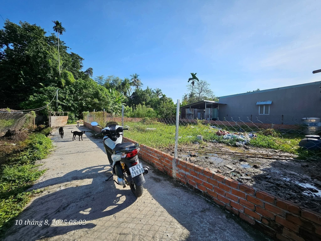 Bán đât lái tjiêu đương xe hơi