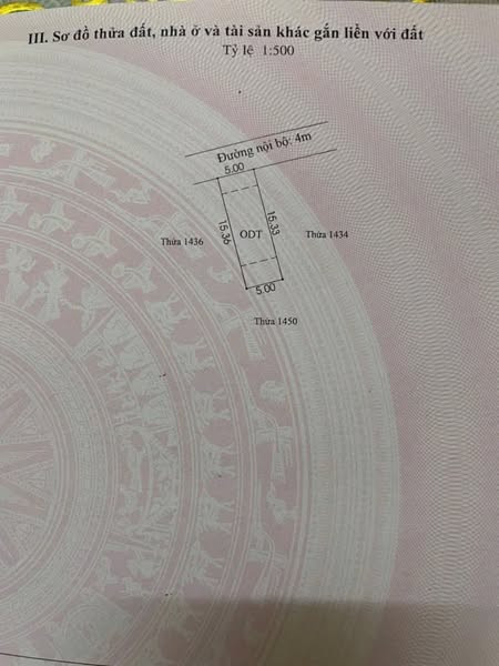 LÔ ĐẤT VÀNG GẦN CHỢ BÌNH NHÂM 1 - CHỈ 2 TỶ 300 TRIỆU, ĐỪNG BỎ LỠ CƠ HỘI ĐẦU TƯ SINH LỜI!