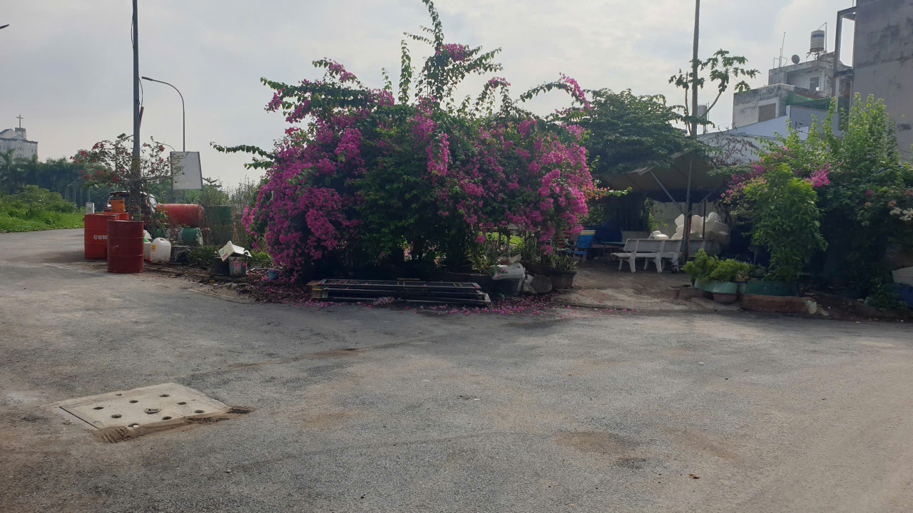 Bán đất 488m² 26 tỷ tại Phường Bình Trưng Đông Thành phố Thủ Đức