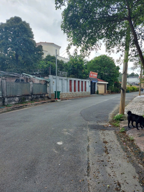 BDS HVL Bán đất biệt thự Riverside đường Nguyễn Duy Trinh. Quận 2 cũ. Tp Thủ Đức