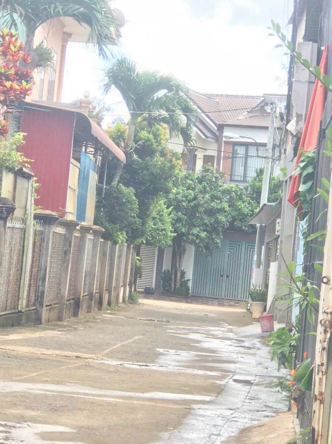 Bán đất tặng Nhà Kho hẻm 175 Nguyễn Hữu Thấu, P. Tân Lợi - BMT . Giá: 2 tỷ 650 ( TL chủ)