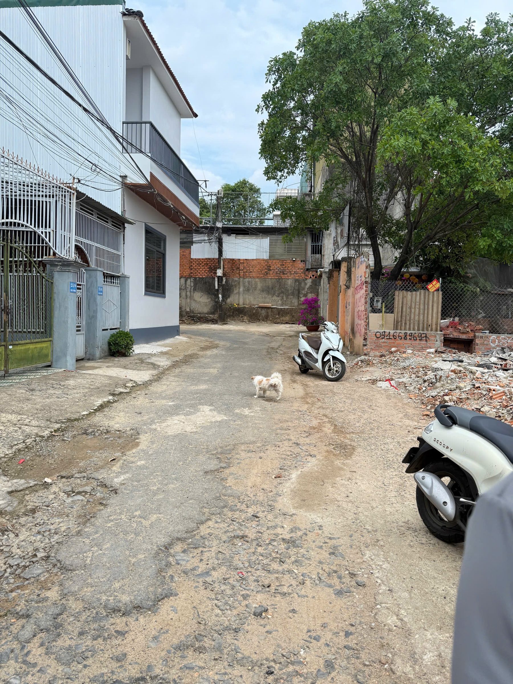 HẠ GIÁ BÁN NHANH LÔ ĐẤT HẺM 23 GIẢI PHÓNG TÂN THÀNH