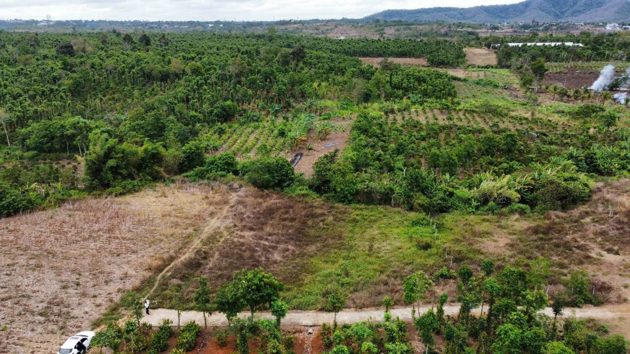 Bán đất 1558.2m² giá 680 triệu Phường Buôn Ma Thuột