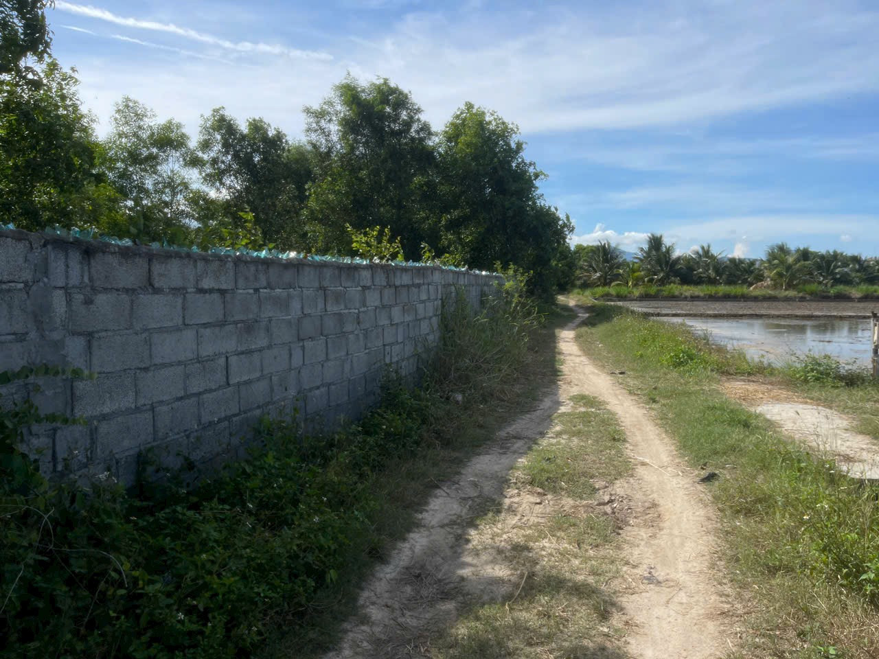 Cần bán đất đồng bà thìn