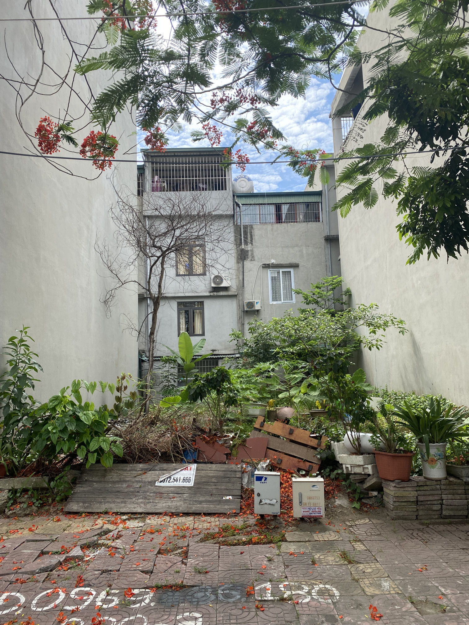 BÁN ĐẤT SAU CÂY XĂNG CAO XANH,HẠ LONG