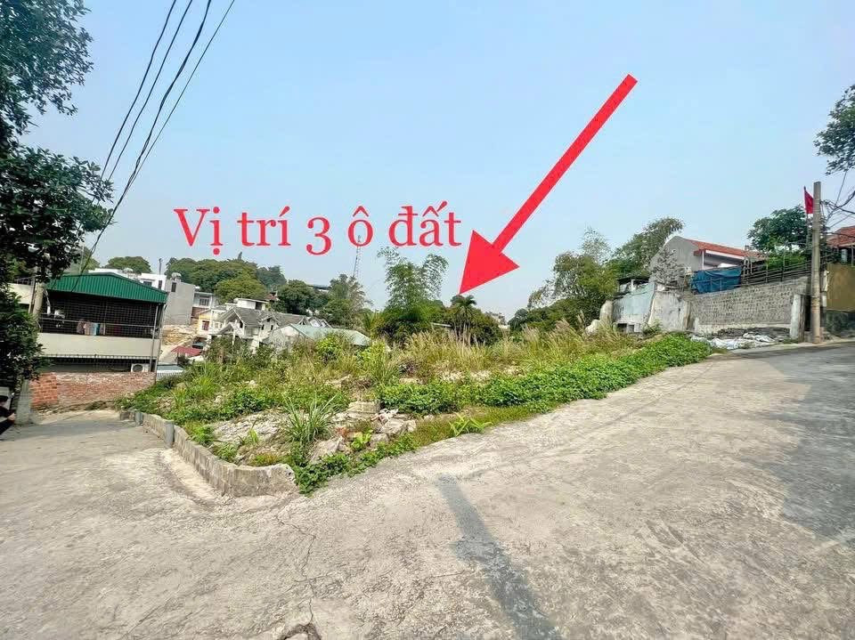 BÁN ĐẤT NGÕ 20 CAO XANH,QUẢNG NINH