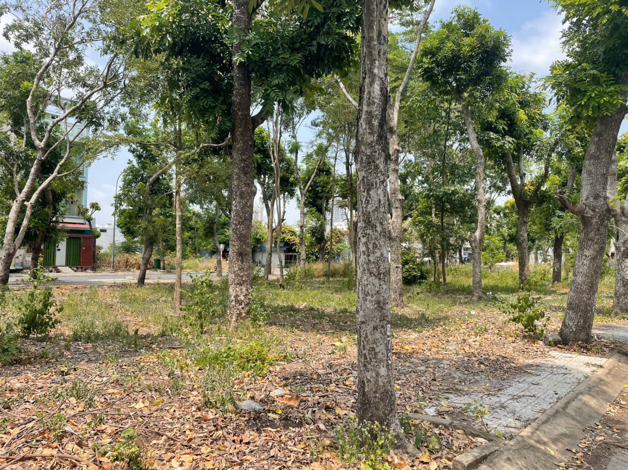 BDS  HVL BÁN C40208 6x20m trục 65 Cát Lái Q2 rộng 20m