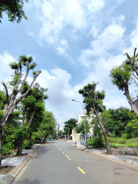 Bán đất 100m² ngang 5m giá 6,9 tỷ tại Phường Cát Lái Thành phố Thủ Đức
