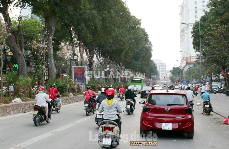 Bán nhà mặt phố 82m² , giá 45 tỷ tại, Phường Cát Linh, Quận Đống Đa, Hà Nội