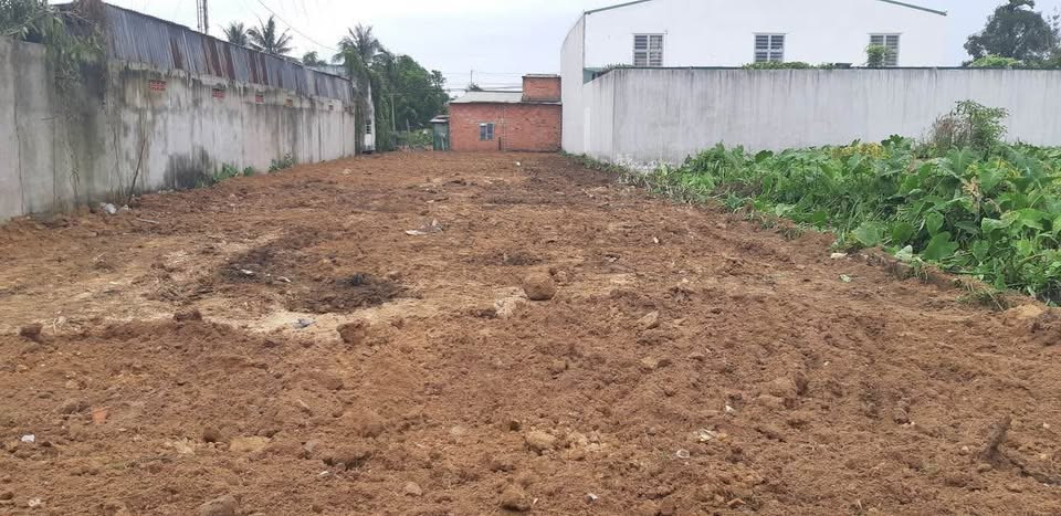 🌳 BÁN ĐẤT CHÁNH MỸ GẦN PHỐ ĐI BỘ BẠCH ĐẰNG – DIỆN TÍCH KHỦNG 10x46 – GIÁ CHỈ 5 TỶ 3 : 0815422197
