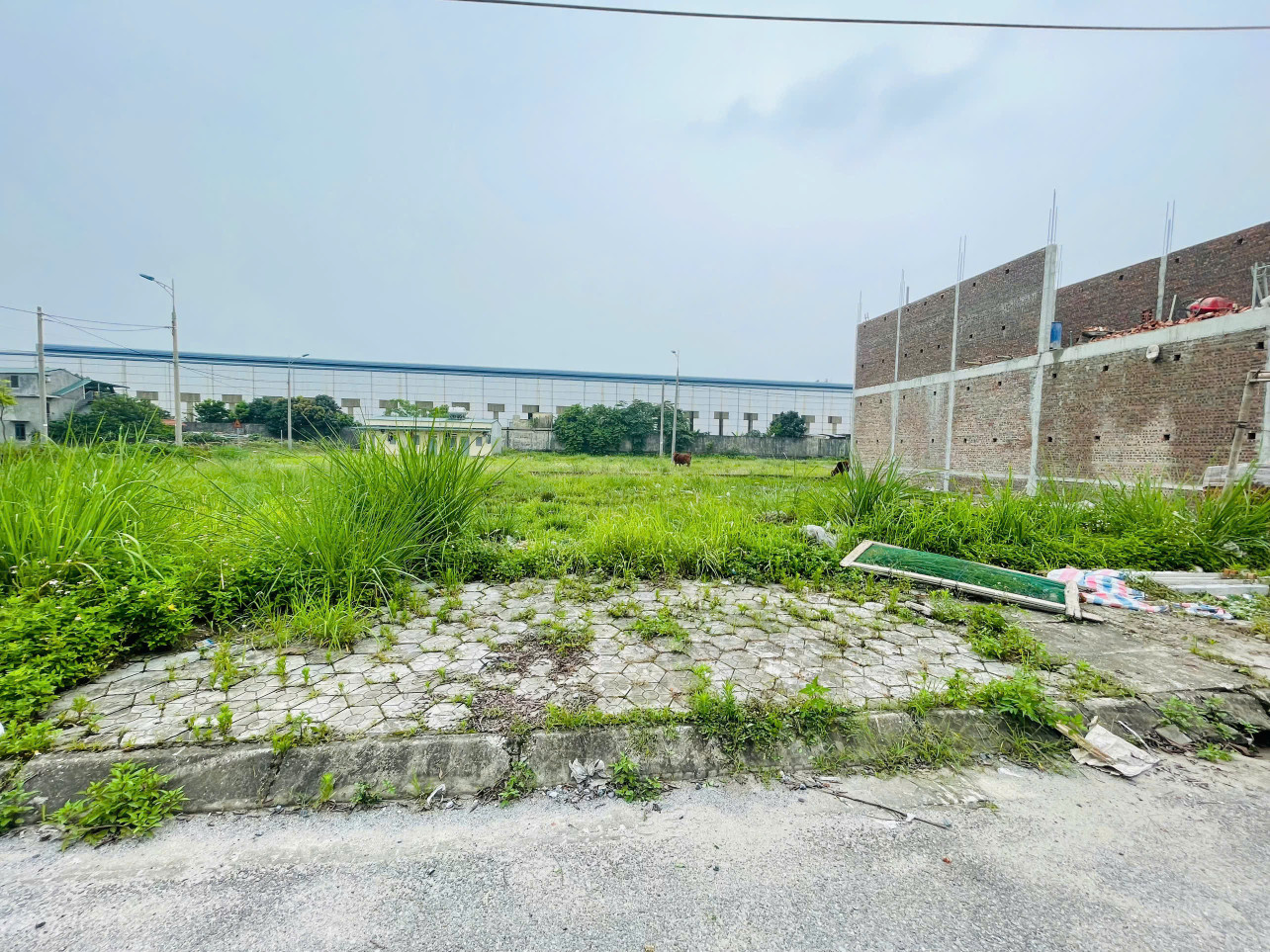 Bán đất 90m² ngang 4,5m giá 1.8 tỷ Phường Châu Sơn