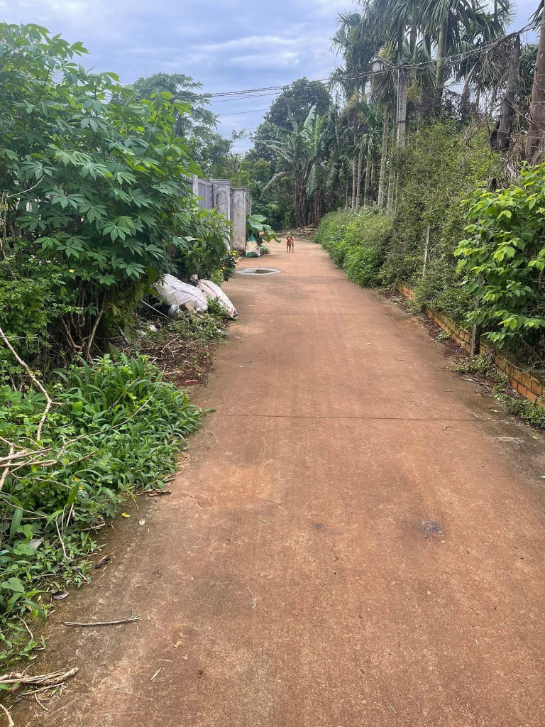 Bán đất 600m² Phường Cư Bao