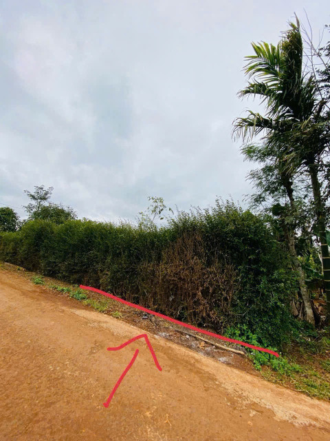 Bán đất 175m² giá 275 triệu Phường Cư Bao