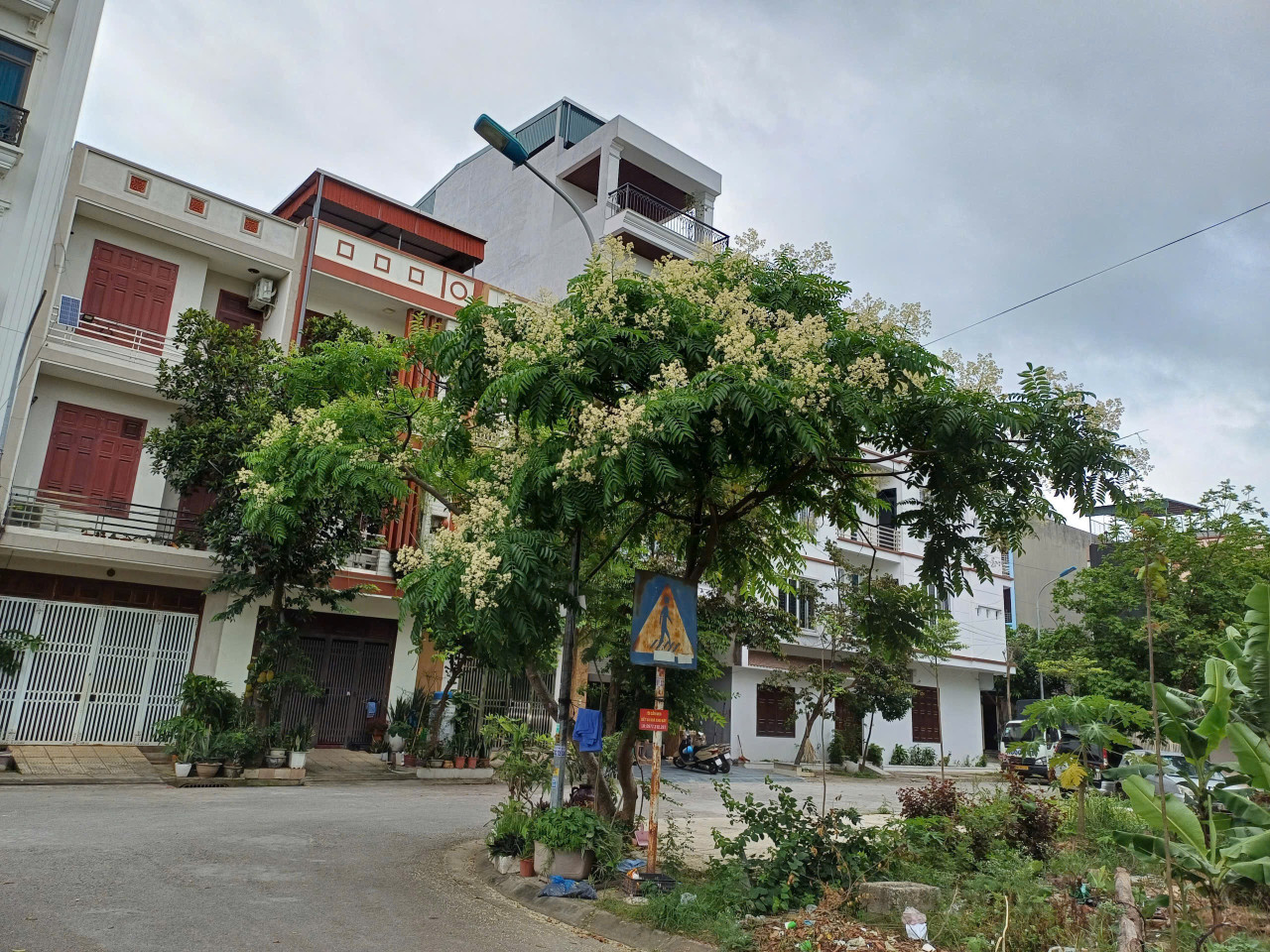 Bán đất khu 4 đại phúc. Nhìn vườn hoa đẹp