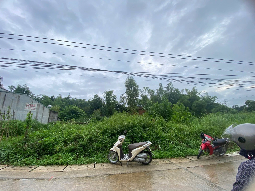 Him Lam tổ 1
