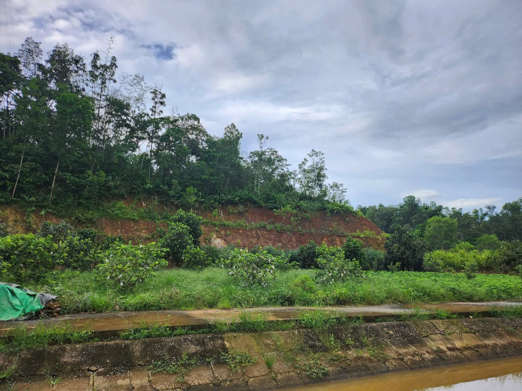 Bán đất 3100m2 tại thanh Trường